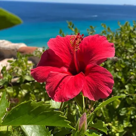 Laura Hébergement de vacances *